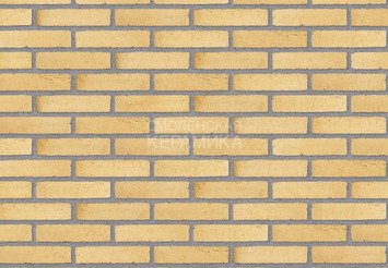 Клинкерный состаренный кирпич Randers Tegl Classica RT 410, DNF 228X108X54 мм 2