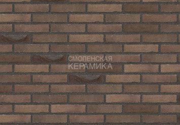 Клинкерный состаренный кирпич Randers Tegl Unika RT 531, DNF 228X108X54 мм 3