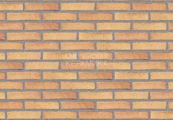 Клинкерный состаренный кирпич Randers Tegl Prima RT 449, DNF 228X108X54 мм 3