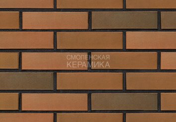 Кирпич облицовочный БРАЕР КЛАДКА гладкий, 1 НФ 3