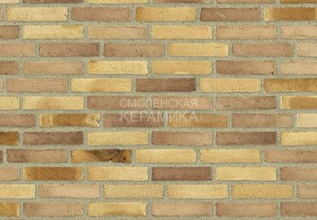 Клинкерный состаренный кирпич Randers Tegl Fusion RT 570, DNF 228X108X54 мм 2