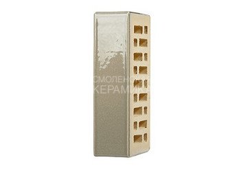 Кирпич керамический глазурованный RECKE GLANZ 1НФ арт. 1-88-02-0-00 7