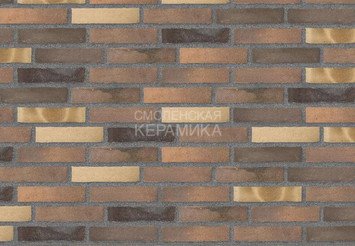 Клинкерный состаренный кирпич Randers Tegl Fusion RT 572, DNF 228X108X54 мм 2