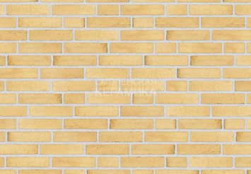 Клинкерный состаренный кирпич Randers Tegl Classica RT 410, DNF 228X108X54 мм 3