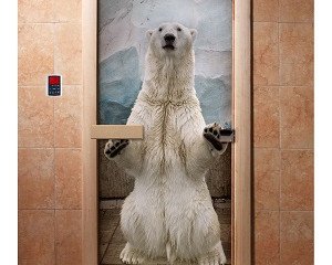 Дверь бан. DW (с фотопечатью) 1900*700 кор. ольха А063 левая