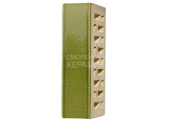 Кирпич керамический глазурованный RECKE GLANZ 1НФ арт. 1-28-02-0-00 7