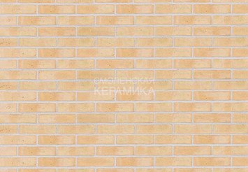 Клинкерный состаренный кирпич Randers Tegl Classica RT 210, DNF 228X108X54 мм 1