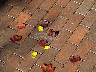 Тротуарный клинкер Feldhaus Klinker gala flamea P403SKF 200x100x40