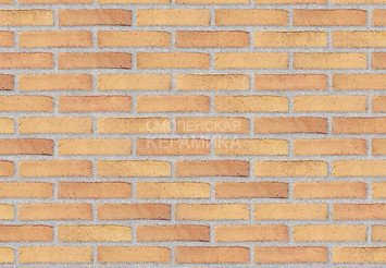 Клинкерный состаренный кирпич Randers Tegl Prima RT 449, DNF 228X108X54 мм 2