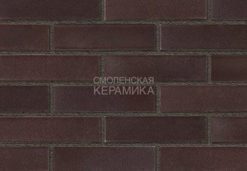 Кирпич лицевой керамический RECKE 1НФ арт. 5-72-00-0-00 1