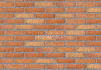 Клинкерный состаренный кирпич Randers Tegl Prima RT 499, DNF 228X108X54 мм 2