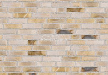 Клинкерный состаренный кирпич Randers Tegl Unika RT 547, DNF 228X108X54 мм 3