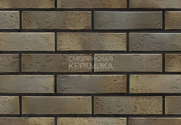 Кирпич керамический BRAER PRO 2.10, 1 НФ 1