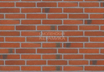 Клинкерный состаренный кирпич Randers Tegl Classica RT 406, ECO-DNF 228X50X54 мм 2