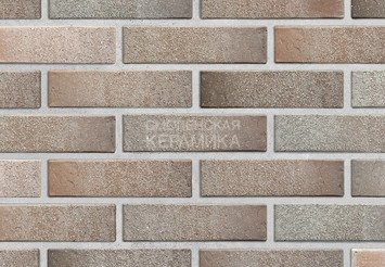 Кирпич облицовочный БРАЕР КЛАДКА Дакар Терра, 1 НФ 1