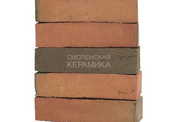 Клинкерный состаренный кирпич Randers Tegl Classica RT 418, DNF 228X108X54 мм 2