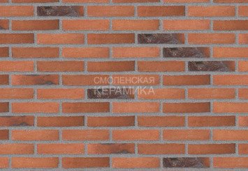 Клинкерный состаренный кирпич Randers Tegl Unika RT 526, DNF 228X108X54 мм 3