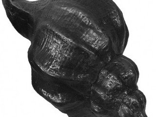 Камень чугунный "Ракушка морская" 185х100х76мм КЧР-1 NEW