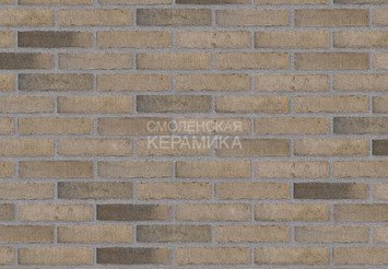 Клинкерный состаренный кирпич Randers Tegl Unika RT 517, ECO-DNF 228X50X54 мм 5