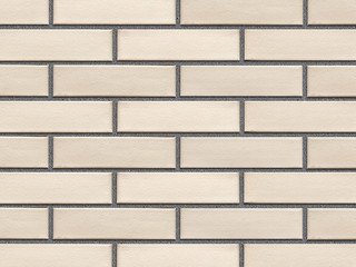 Кирпич облицовочный керамический ЖКЗ Белый Гладкий 1НФ