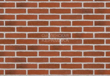 Клинкерный состаренный кирпич Randers Tegl Classica RT 481, ECO-DNF 228X50X54 мм 1