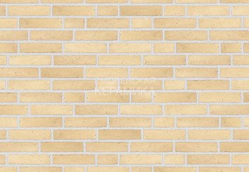 Клинкерный состаренный кирпич Randers Tegl Classica RT 209, DNF 228X108X54 мм 1