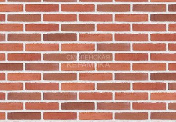 Клинкерный состаренный кирпич Randers Tegl Classica RT 448, ECO-DNF 228X50X54 мм 1