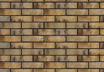 Кирпич керамический BRAER PRO 3.03 1 НФ 3