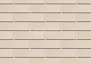 Кирпич лицевой керамический ЖКЗ Белый Гладкий 1НФ полнотелый 2