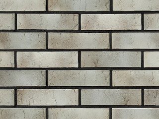 Кирпич керамический BRAER PRO 72.03, 1 НФ