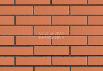 Кирпич облицовочный керамический ЖКЗ Красный Гладкий 1НФ 1