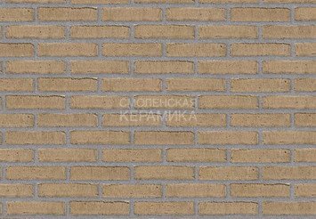 Клинкерный состаренный кирпич Randers Tegl Prima RT 474, DNF 228X108X54 мм 3