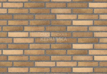 Клинкерный состаренный кирпич Randers Tegl Prima RT 495, DNF 228X108X54 мм 3