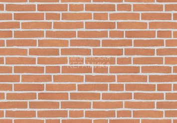 Клинкерный состаренный кирпич Randers Tegl Classica RT 435, ECO-DNF 228X50X54 мм 3